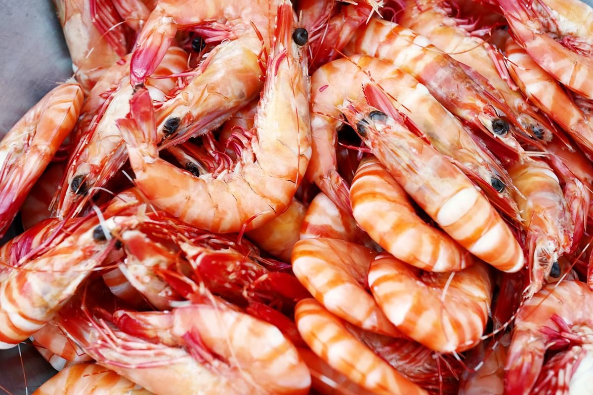 Cooked Tiger Prawn 1kg Pack Aristos Seafood Perth Wa